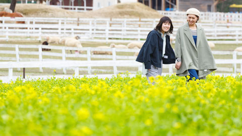 滋賀農業公園 ブルーメの丘