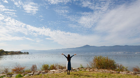 都市公園湖岸緑地