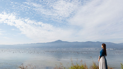 都市公園湖岸緑地