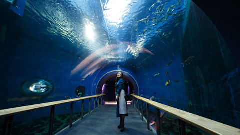 滋賀県立琵琶湖博物館_水族展示室