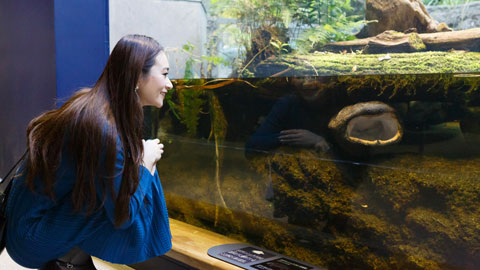 滋賀県立琵琶湖博物館_水族展示室