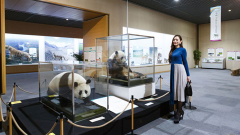 滋賀県立琵琶湖博物館_企画展示