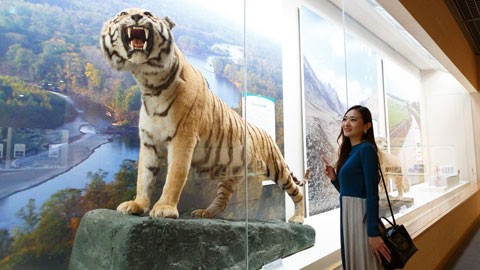 滋賀県立琵琶湖博物館_企画展示