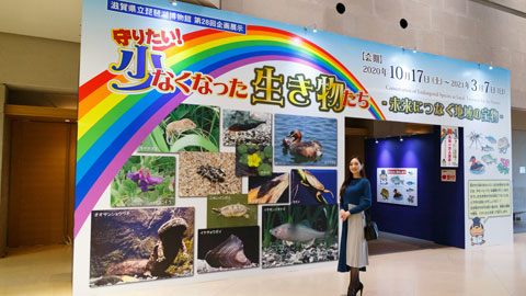 滋賀県立琵琶湖博物館_企画展示