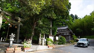 泉神社湧水