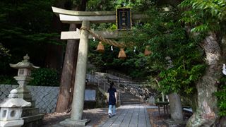 泉神社湧水