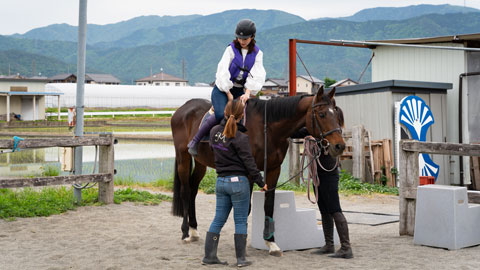 MITA馬事公苑吉田stable