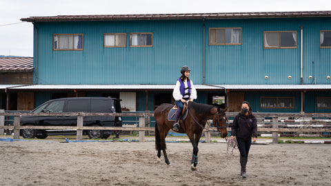 MITA馬事公苑吉田stable