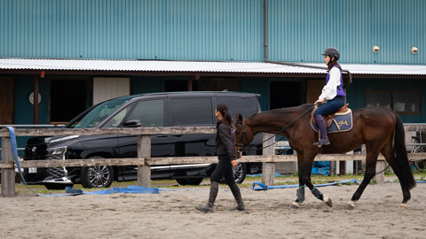 MITA馬事公苑吉田stable