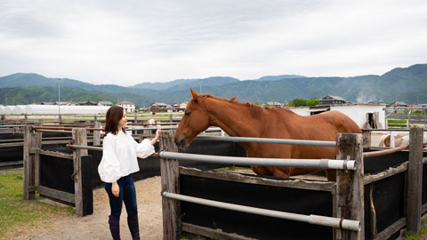 MITA馬事公苑吉田stable