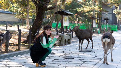 東大寺 大仏殿