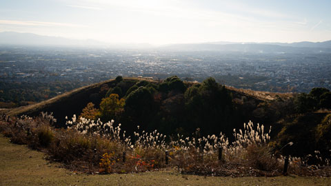 若草山