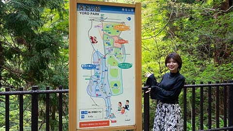 養老公園・養老の滝