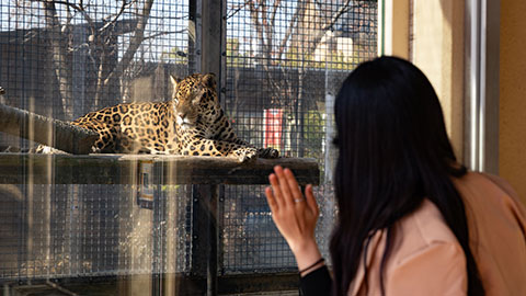 京都市動物園