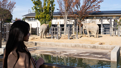 京都市動物園