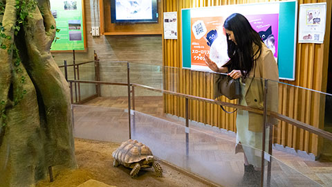 京都市動物園