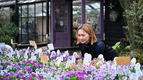 the Farm UNIVERSAL OSAKA