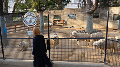 湖国ドライブガイドVol.168「池田市立五月山動物園」