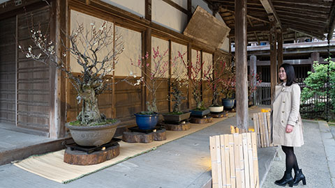 石山寺