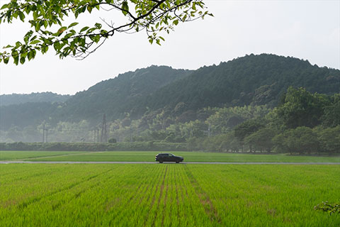 滋賀県立安土城考古博物館