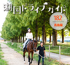 高島編 <br>メタセコイアと馬の森