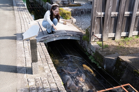 藤樹書院跡