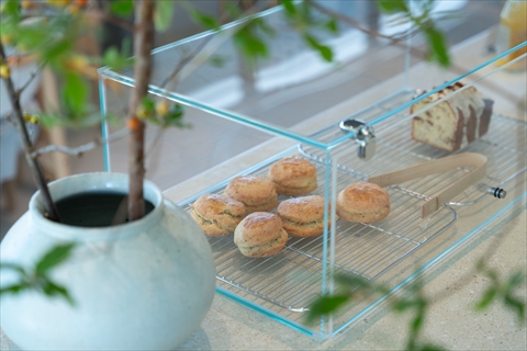 TaLaBrew（タラブリュー）