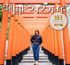 神戸編 <br>生田神社