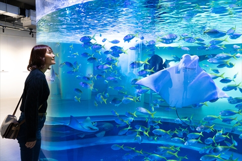 湖国ドライブガイドVol.183「アトア」