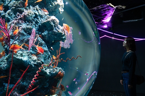 アート、グルメ、歴史、自然。bZ4Xでめぐる、魅力的な街・神戸