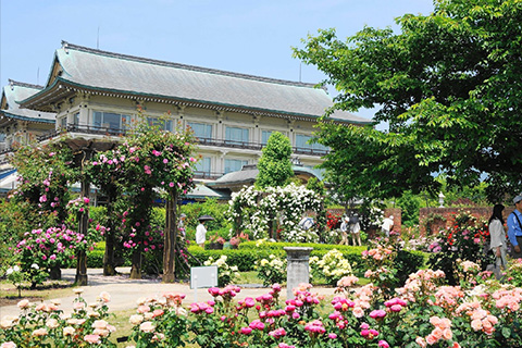 柳が崎湖畔公園 びわ湖大津館