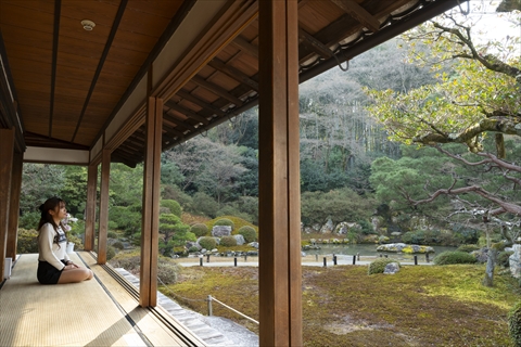 青蓮院（しょうれんいん）門跡