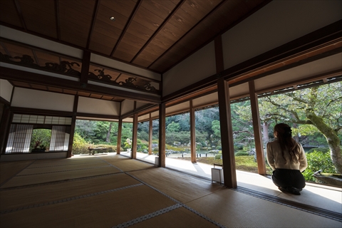 RAV4でめぐる、知られざる京都の魅力