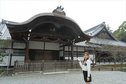 青蓮院（しょうれんいん）門跡